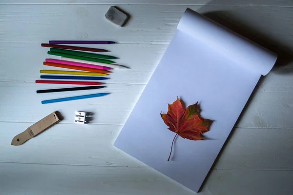 空白的素描垫 彩色铅笔 其他设备的绘图和落叶上的白色木制桌面 文案文所处的艺术背景 — 图库照片