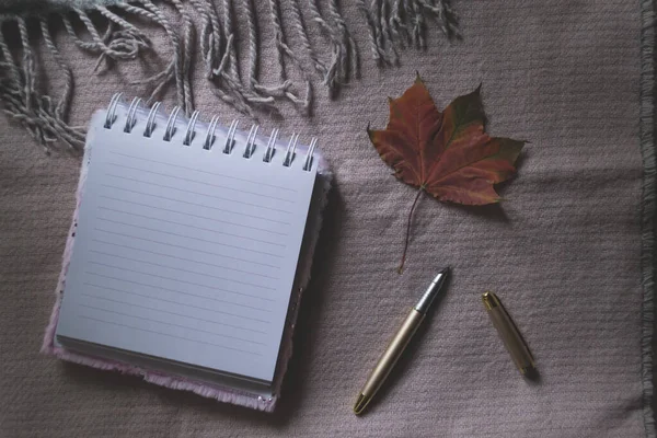 Ein Geöffnetes Notizbuch Und Stift Auf Einem Schreibtisch Mit Dekoration — Stockfoto