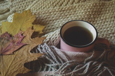Bir fincan sıcak çay ve sonbahar yaprakları ılık ekoselerde..
