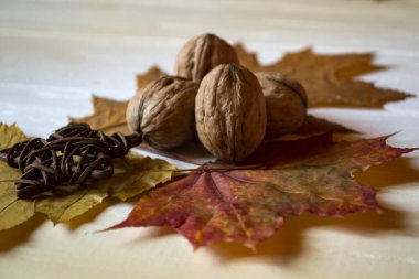 Cevizler ve sonbahar yaprakları. Güzel bir sonbahar arkaplanı. Altın Sonbahar.