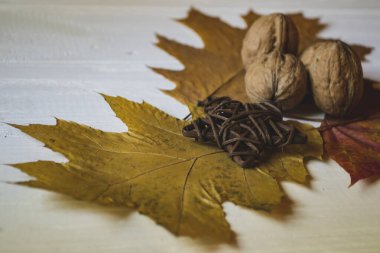 Cevizler ve sonbahar yaprakları. Güzel bir sonbahar arkaplanı. Altın Sonbahar.