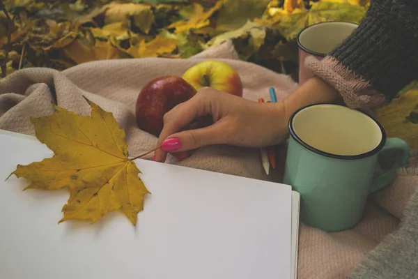 Cups Tea Red Apples Album Pencils Drawing Warm Plaid Autumn — 图库照片