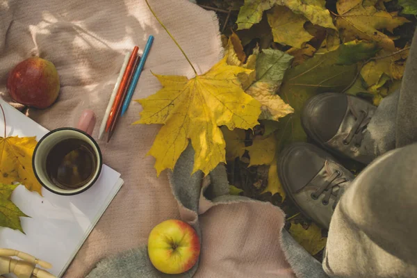 Cup Tea Fallen Leaves Album Pencils Drawing Warm Plaid Autumn — 图库照片