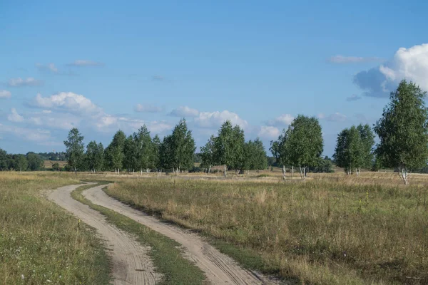 Terénní Divokém Poli — Stock fotografie