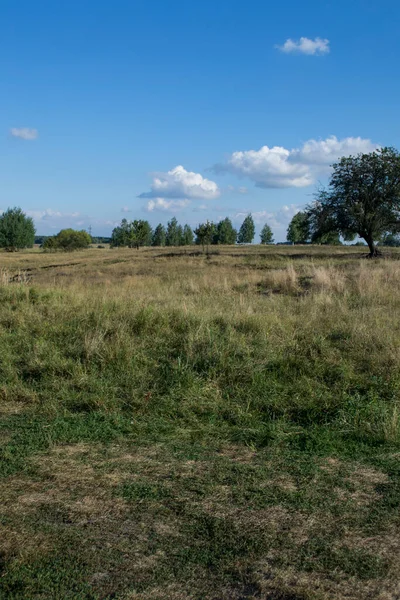 Letní Krajina Pole — Stock fotografie