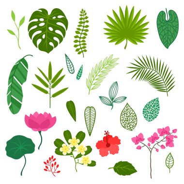 Картина, постер, плакат, фотообои "набор стилизованных тропических растений, листьев и цветов
.", артикул 57836359