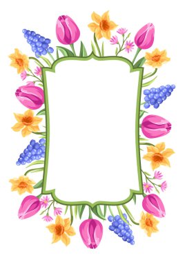 Çiçeklerle dekoratif arka plan. Bahar muscari, lale ve narsis. Güzel gerçekçi çiçekler, tomurcuklar ve yapraklar. Doğal illüstrasyon.