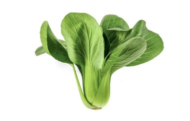 Bok choy sebzesi beyaz arkaplanda izole