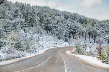 Karla kaplı ormanın manzaralı yolu..