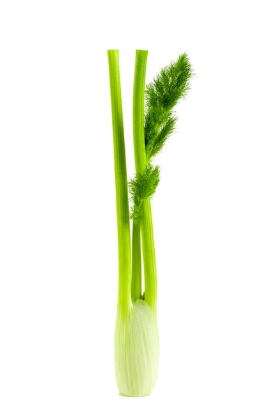 白い背景に隔離された新鮮なセロリの茎 — ストック写真