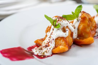 Geleneksel Rus yemeği pelmeni, domates soslu Rus köftesi ve yoğurt. Seçici odak