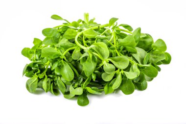 Taze purslane beyaz arka planda izole edildi. Yenilebilir yabani otlar