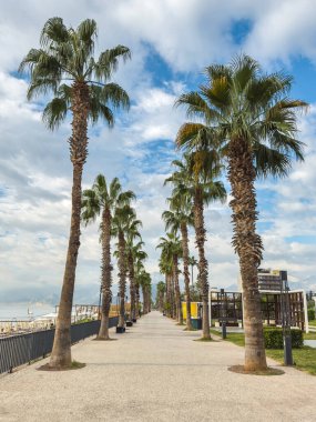 Türkiye 'nin Antalya kentindeki Konyaalti plajı boyunca Palm-line yaya geçidi