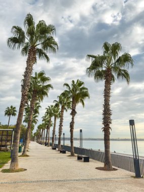 Türkiye 'nin Antalya kentindeki Konyaalti plajı boyunca Palm-line yaya geçidi