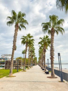 Türkiye 'nin Antalya kentindeki Konyaalti plajı boyunca Palm-line yaya geçidi
