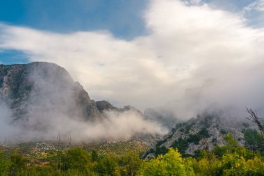 Dramatik bulutlar ve yemyeşil önplanı ile puslu dağ manzarası