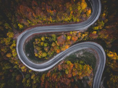 Yoğun bir ormanın içinden geçen yüksek bir dağ geçidinden dolambaçlı bir yol manzarası.