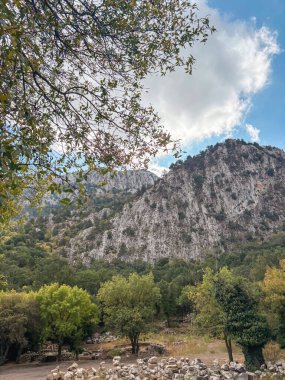 Parlak bulutlu gökyüzünün altında yeşil ağaçlarla kaplı dağ manzarası
