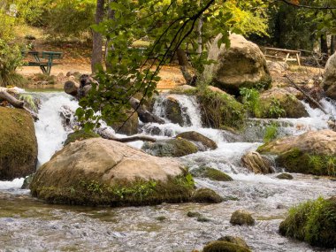 Sonbaharda yosunlu kayaların üzerinden akan küçük orman deresi