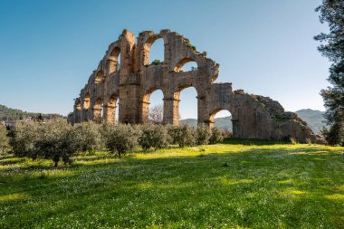 Aspendos Antik Roma su kemeri yeşil bahar çayırında harabe oluşturuyor