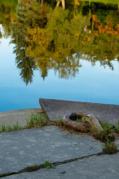 Träden Återspeglas Reservoaren Stadsparken — Stockfoto