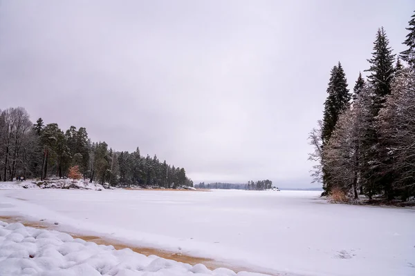 Parque Mon Repos Inverno Rússia Vyborg — Fotografia de Stock