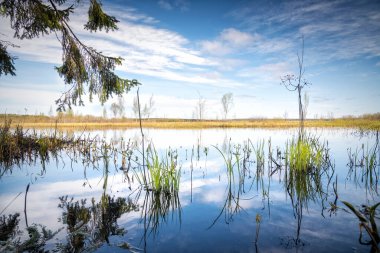 Orman gölündeki gökyüzünün yansıması