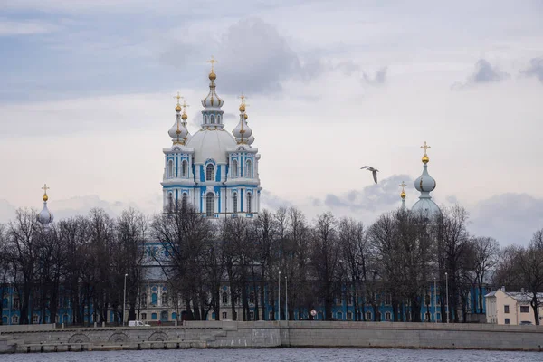 Smolny Resurrección Catedral Cristo San Petersburgo Rusia — Foto de Stock