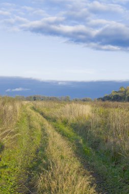 Çavdar, fırtına bulutları gökyüzünde, manzara dolu bir alanda yol