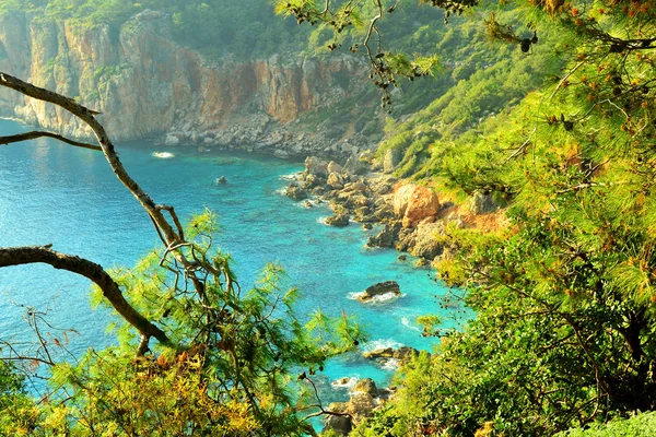 Blick auf eine Bucht. — Stockfoto