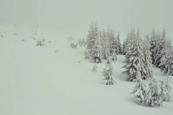 Beautiful Winter Landscape Snowy Mountains — Stock Photo, Image