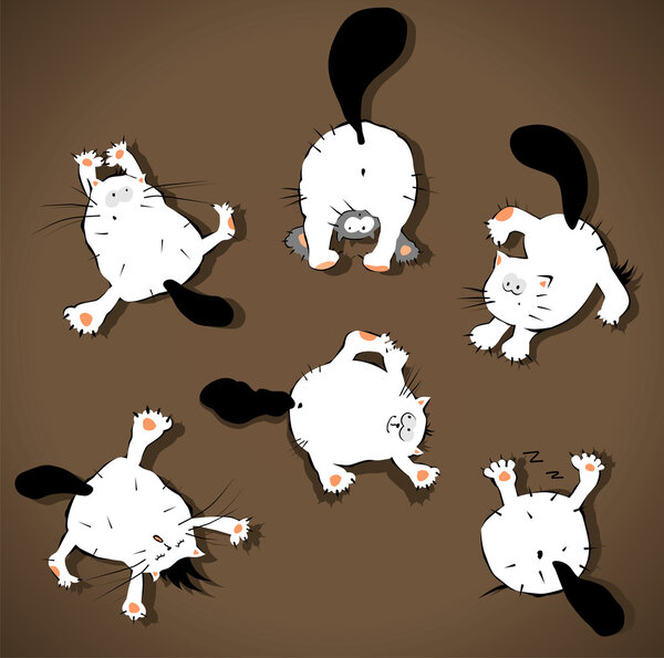 Смешные кошки — стоковая иллюстрация Смешные кошки Лицензионные Стоковые Векторы