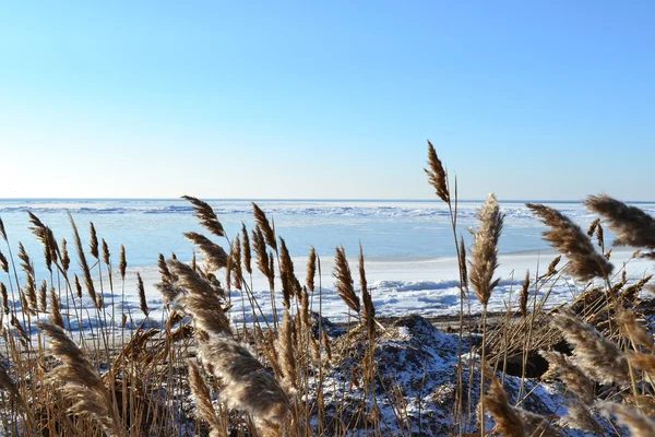 Peisaj marin de iarnă — Fotografie, imagine de stoc