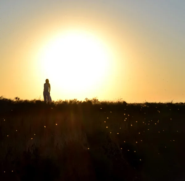 Amanecer — Foto de Stock