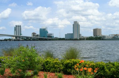 Jacksonville Riverwalk boyunca çiçek