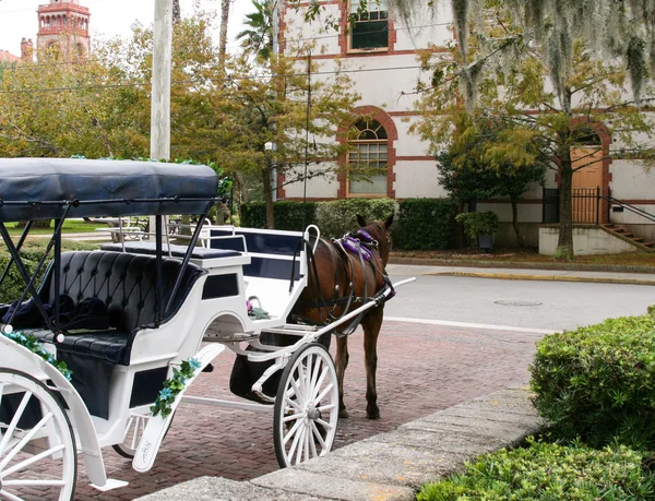 Horse drawn carriage — Stock Photo, Image