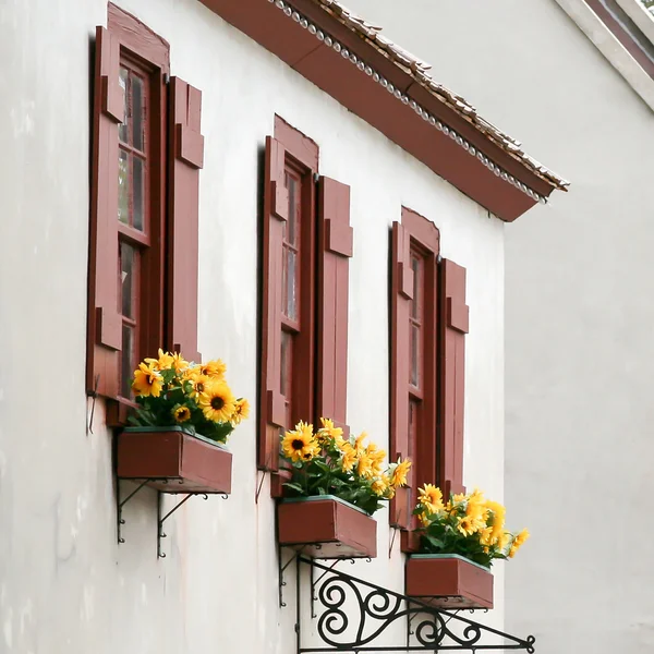 Bloembakken in St. Augustine, Florida Stockfoto