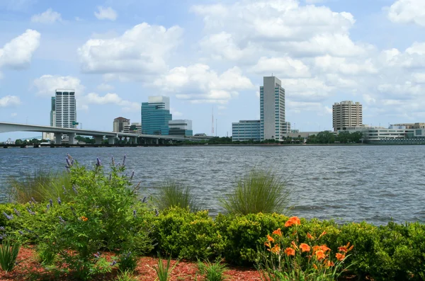 Virágok mentén a Jacksonville Riverwalk Jogdíjmentes Stock Fotók