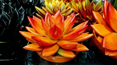 Dükkandaki parlak turuncu kaktüs