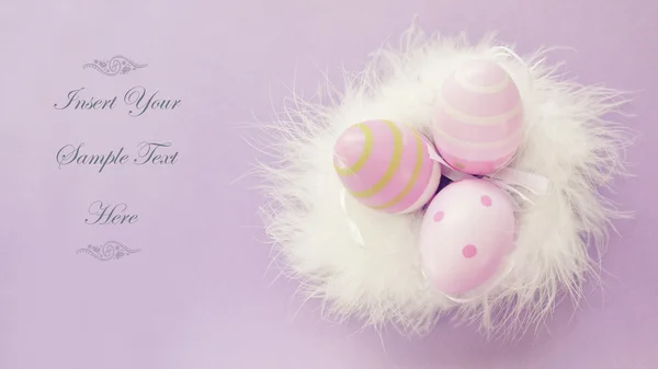 Nest colorful easter white feather — Stock Photo, Image