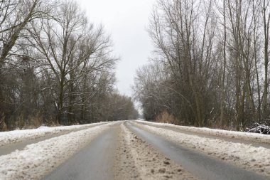 Orman ve ağaçların arasından geçen karlı otoyol, kış mevsimi.