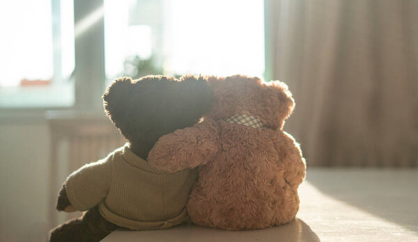 couple of two teddy bears hug each other, love feelings concept