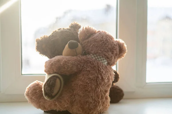 两只泰迪熊抱在一起 爱的感觉概念 — 图库照片