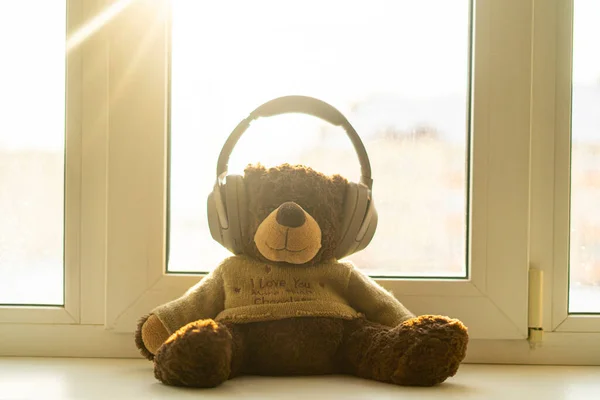 Teddy Maci Fülhallgatóban Hallgatni Audió Zene Rádiót — Stock Fotó