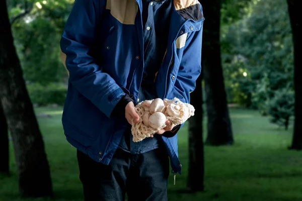 Człowiek trzymający grzyby w lesie. zbieraj grzyby sezon — Zdjęcie stockowe