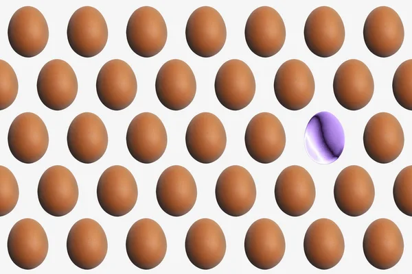 The individuality concept, a single unique egg among the usual ones, difference idea — 图库照片