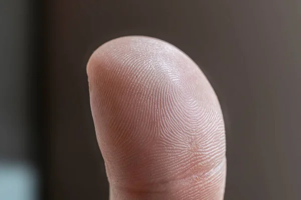 A close up macro human fingerprint identification, privacy security — Foto de Stock