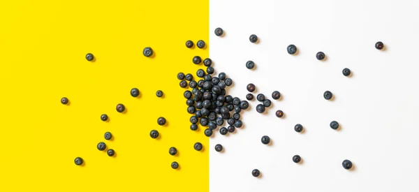 La frutta bacche di mirtillo pulito isolato sulla superficie colorata, spazio copia, minimalista — Foto Stock