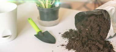 Masaya ev çiçekleri dikmek için toprak toprak paketin üst görüntüsü