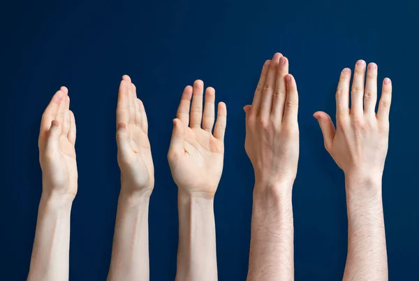 As cinco mãos humanas levantadas isoladas sobre o fundo colorido como um conceito de voto e concordam — Fotografia de Stock